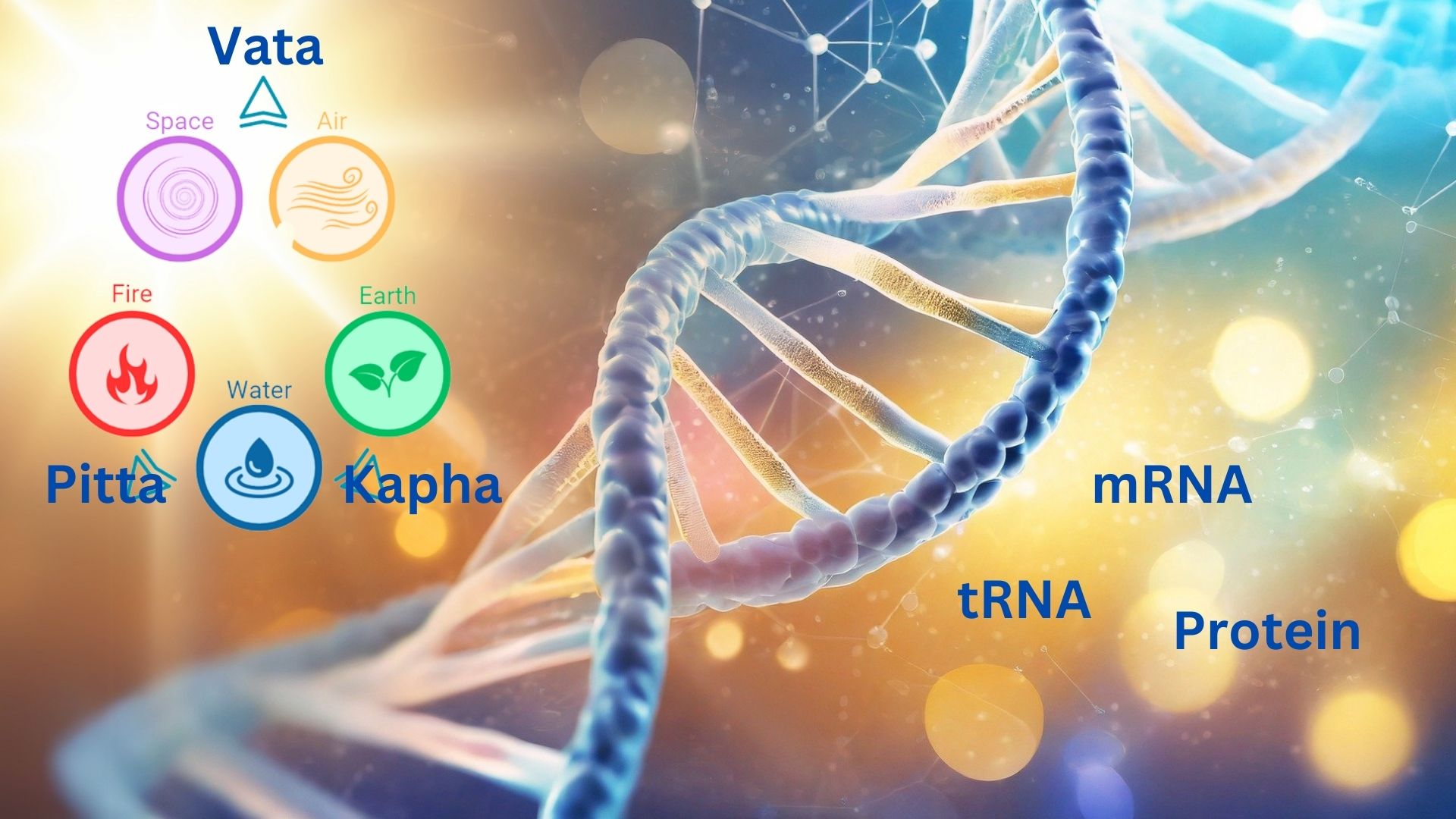 3 Ayugenomics-6